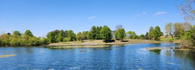 Tract 2 - Walnut Meadows - Pickaway County, Ohio - 12.7 acres