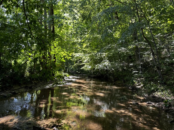 Tract 4 at The Woods on Wayne National Forest - Gallia County, Ohio - 6.6 acres