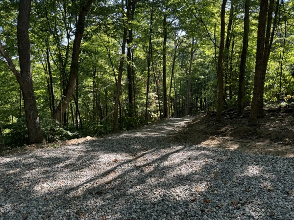 Tract 4 - The Woods at Potts Hill - Ross County, Ohio - 9.7 acres