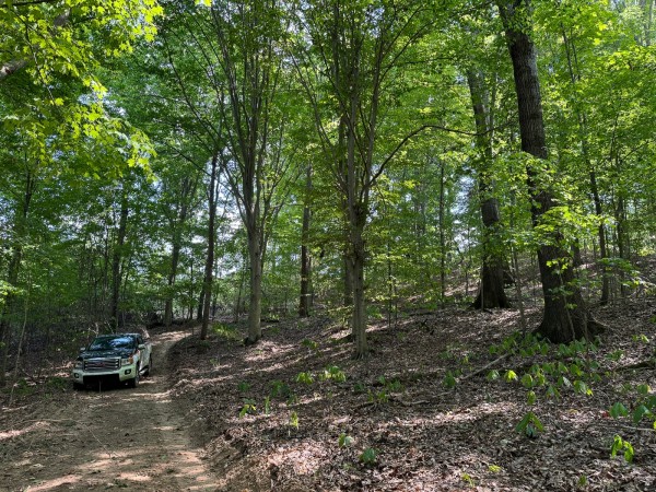 Tract 12 - Albany Woods - Meigs County, Ohio - 12.1 acres