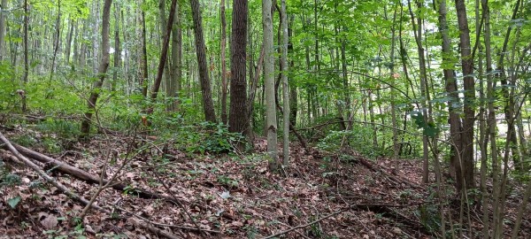 Tract 5 - The Caves at Keystone - Jackson County, Ohio - 5.4 acres