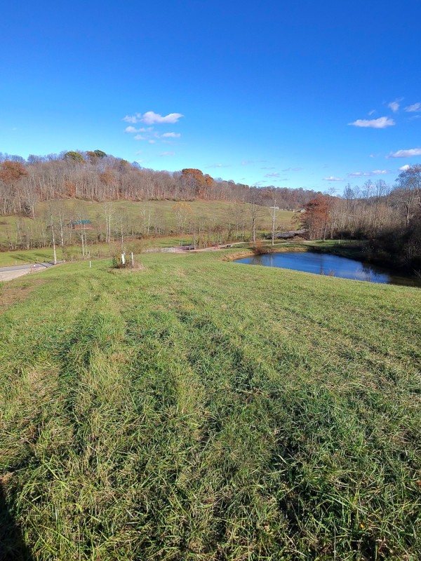 Tract 3 - Albany Woods - Meigs County, Ohio - 39.3 acres