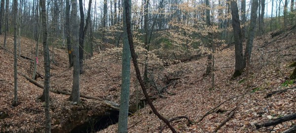 Tract 1 at Crown Wildlife Retreat - Gallia County, Ohio - 7.3 acres