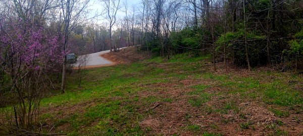 Tract 2 at Crown Wildlife Retreat - Gallia County, Ohio - 5.1 acres