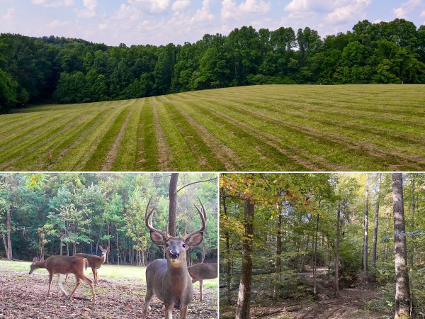 Tract 4 at Wolf Hill Estates - Vinton County, Ohio - 5.1 acres