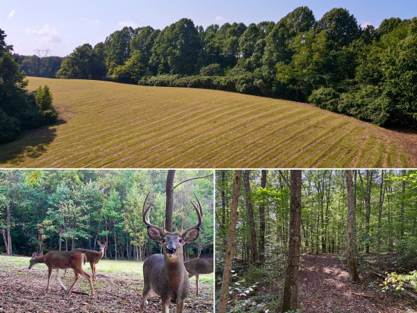 Tract 7 at Wolf Hill Estates - Vinton County, Ohio - 5.0 acres