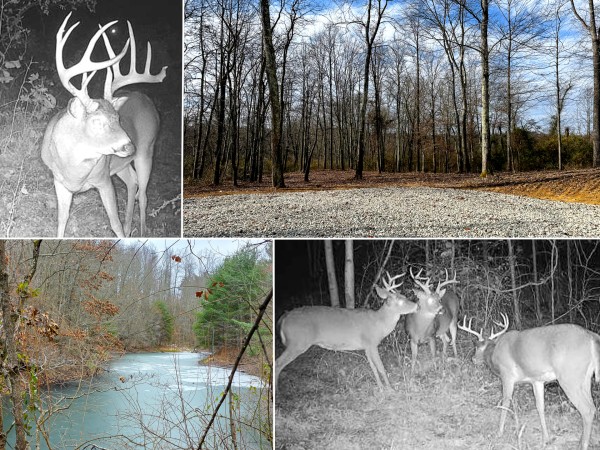 Lot 1 - The Woods at Turkey Run - Perry County, Ohio - 5.7 acres