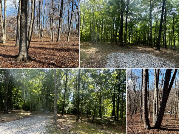 Tract 7 at Skyline Acres - Pike County, Ohio - 2.4 acres