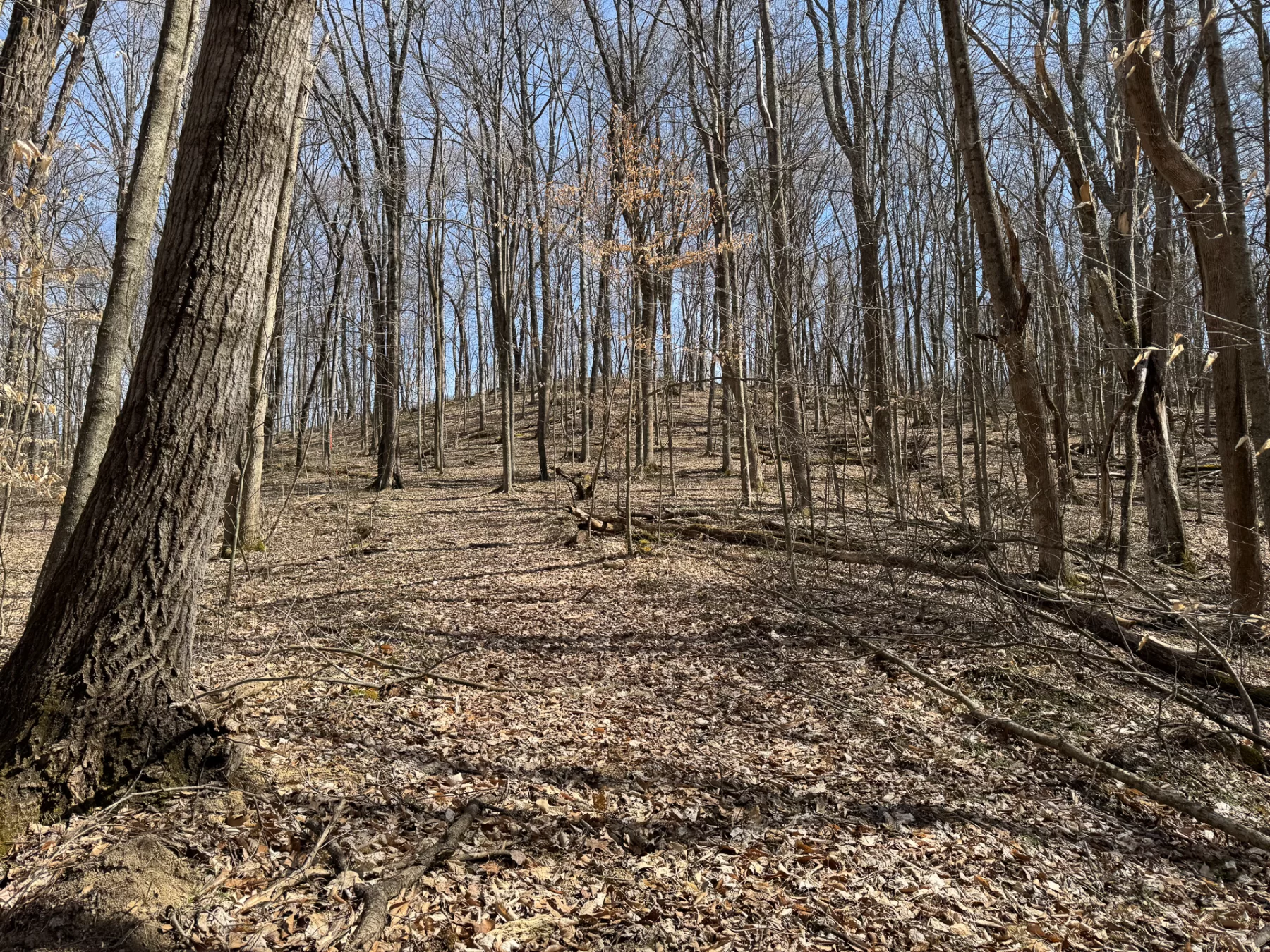 ATV Getaway at Shawnee Woods property photo 24